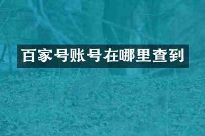 百家号账号在哪里查到