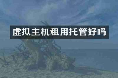 虚拟主机租用托管好吗