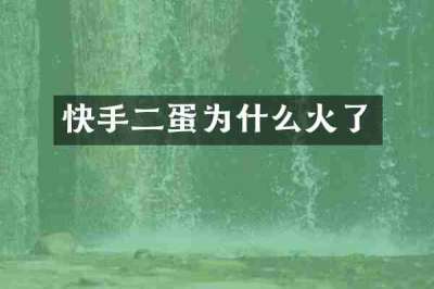 快手二蛋为什么火了