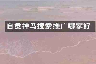 自贡神马搜索推广哪家好