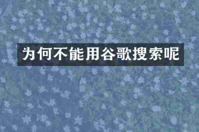 为何不能用谷歌搜索呢