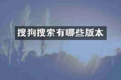 搜狗搜索有哪些版本
