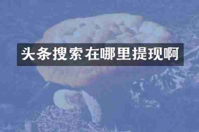 头条搜索在哪里提现啊