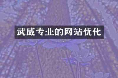 武威专业的网站优化