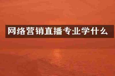 网络营销直播专业学什么