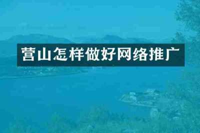 营山怎样做好网络推广