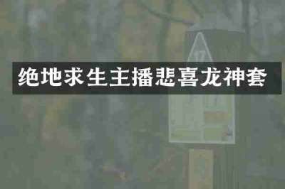 绝地求生主播悲喜龙神套