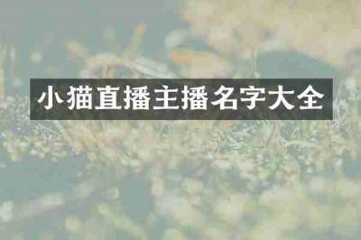 小猫直播主播名字大全