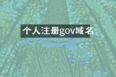 个人注册gov域名