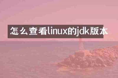 怎么查看linux的jdk版本