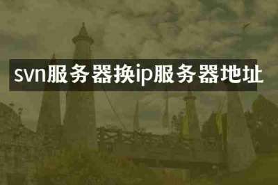 svn服务器换ip服务器地址