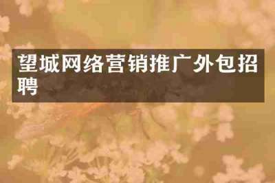 望城网络营销推广外包招聘