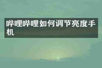 哔哩哔哩如何调节亮度手机