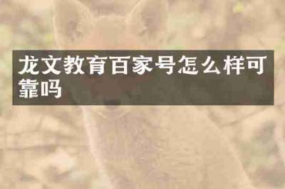 龙文教育百家号怎么样可靠吗