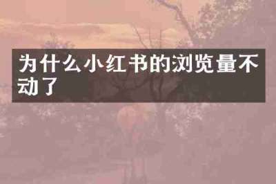 为什么小红书的浏览量不动了