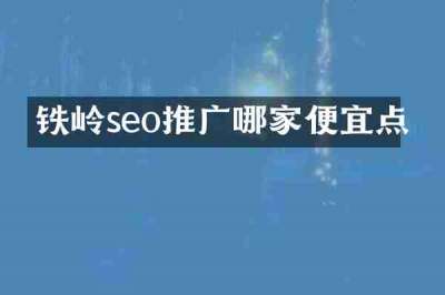 铁岭seo推广哪家便宜点