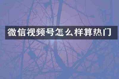 微信视频号怎么样算热门