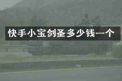 快手小宝剑圣多少钱一个