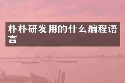 朴朴研发用的什么编程语言
