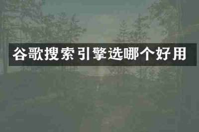 谷歌搜索引擎选哪个好用