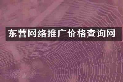 东营网络推广价格查询网