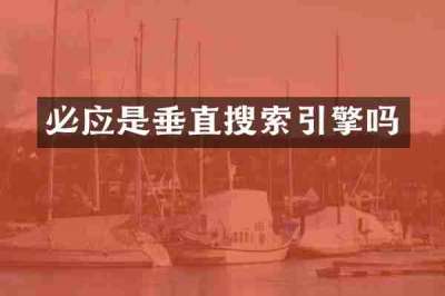 必应是垂直搜索引擎吗