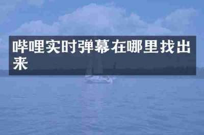 哔哩实时弹幕在哪里找出来