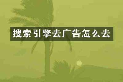 搜索引擎去广告怎么去
