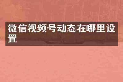 微信视频号动态在哪里设置