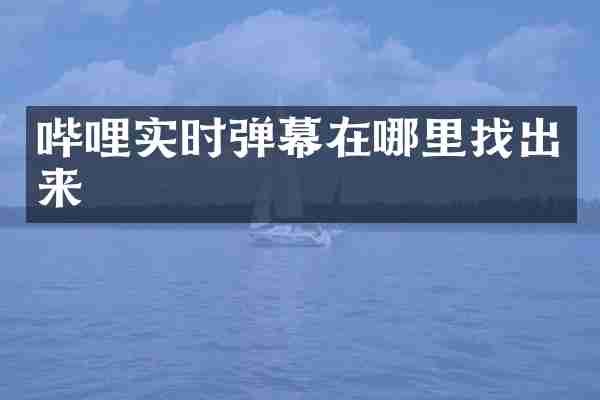 哔哩实时弹幕在哪里找出来
