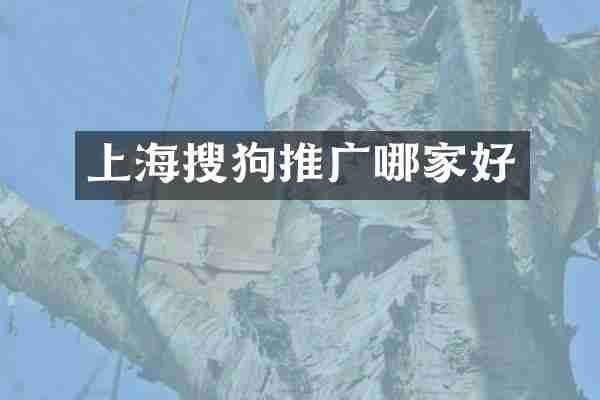 上海搜狗推广哪家好