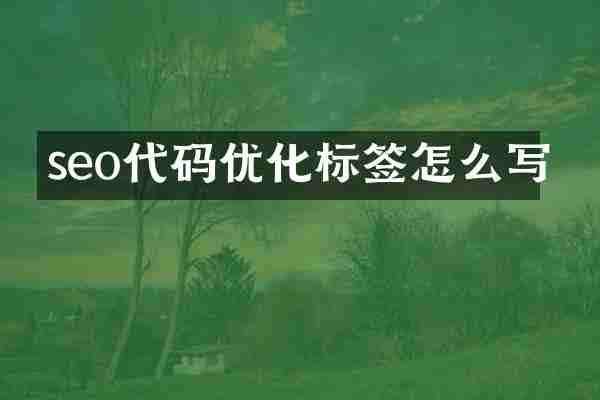 seo代码优化标签怎么写