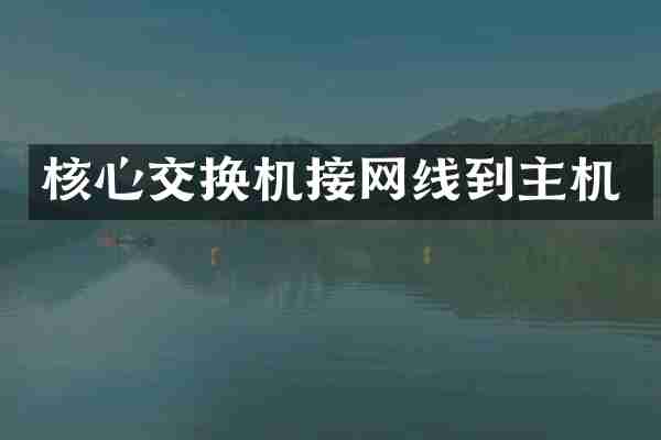 核心交换机接网线到主机