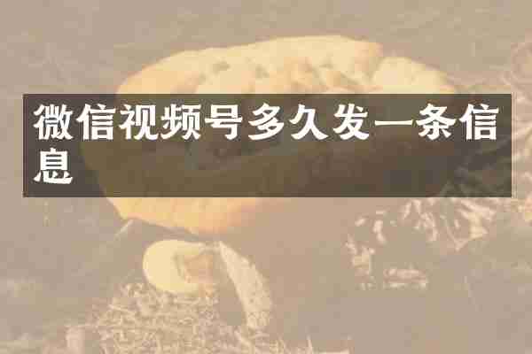 微信视频号多久发一条信息