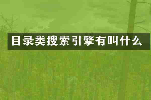 目录类搜索引擎有叫什么