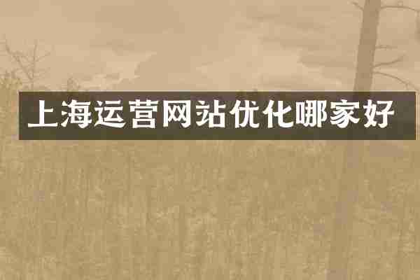 上海运营网站优化哪家好