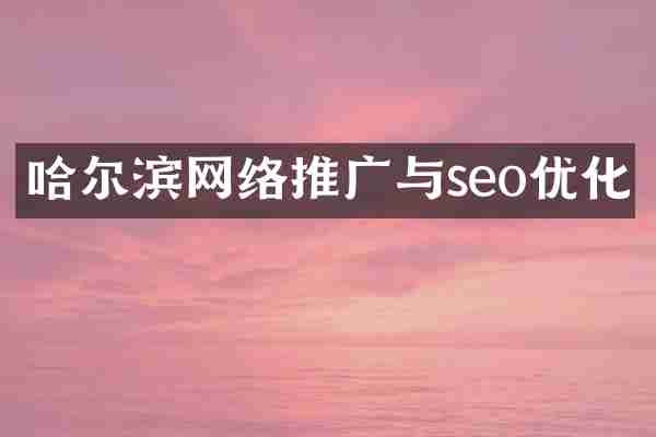 哈尔滨网络推广与seo优化