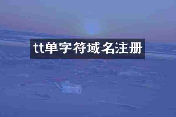 tt单字符域名注册