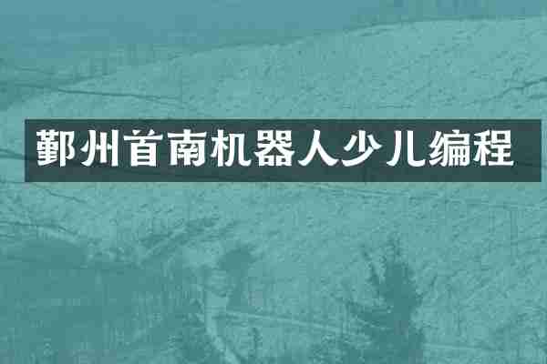 鄞州首南机器人少儿编程
