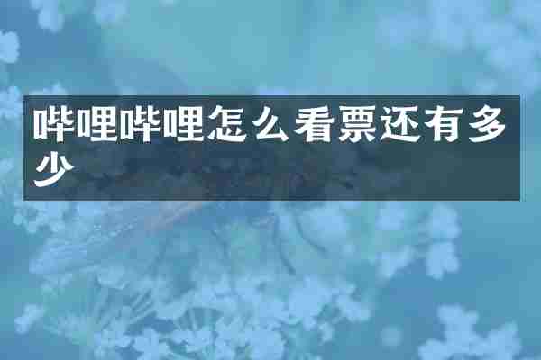 哔哩哔哩怎么看票还有多少