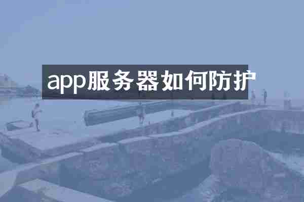 app服务器如何防护