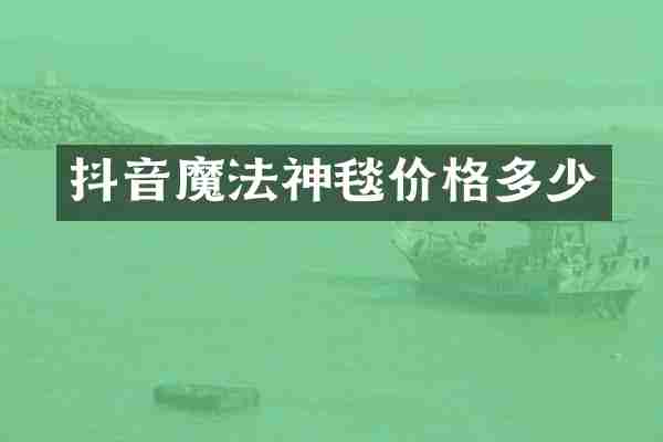 抖音魔法神毯价格多少