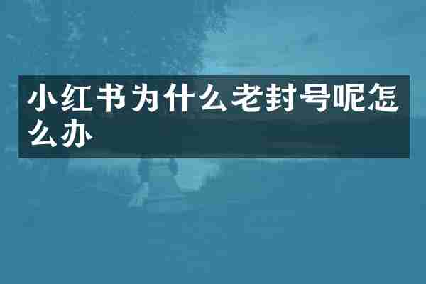 小红书为什么老封号呢怎么办