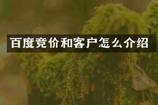 百度竞价和客户怎么介绍