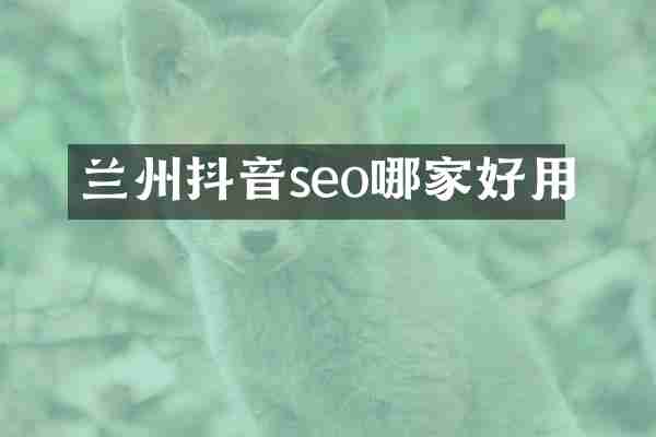 兰州抖音seo哪家好用