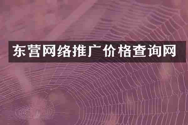 东营网络推广价格查询网