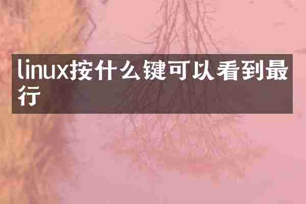 linux按什么键可以看到最后行