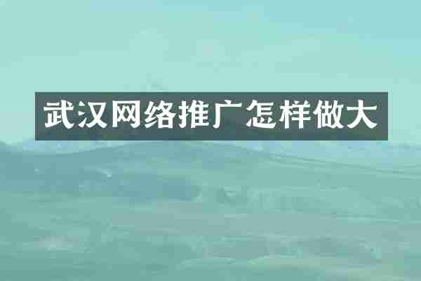 武汉网络推广怎样做大