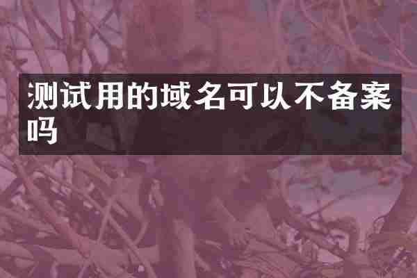 测试用的域名可以不备案吗
