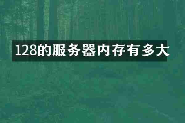 128的服务器内存有多大